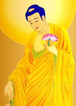 Người Phật tử đã biết gì về Phật A Di Ðà?